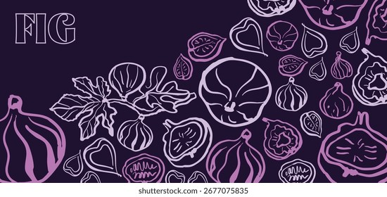  Isolated vector illustration of fig fruits, fig slices and fig branch with leaves in plum and purple colors. Fig set. Outline vintage style on white background. Hand drawn for menu and print.