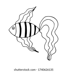 Isolated vector illustration of fish in doodle style on white background. Stylized goldfish with wavy lines. Can use for print, web, greeting card, invitation.