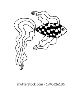 Ilustración vectorial aislada de peces en forma de doodle sobre fondo blanco. Pescado dorado estilizado con líneas onduladas. Puede usar para imprimir, web, tarjeta de felicitación, invitación.