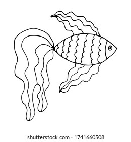 Isolated vector illustration of fish in doodle style on white background. Stylized goldfish with wavy lines. Can use for print, web, greeting card, invitation.	