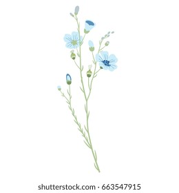 Isolated vector illustration of a flax plant