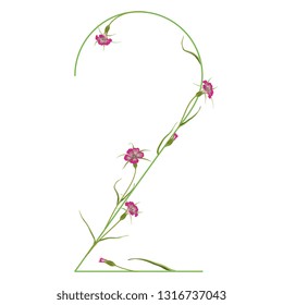 Isolated vector illustration. Floral alphabet. Numeral 2 with wild carnation or corn-cockle flowers. 