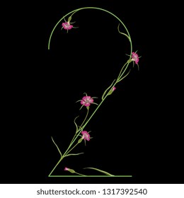 Isolated vector illustration. Floral alphabet. Numeral 2 with wild carnation or corn-cockle flowers. On black background.