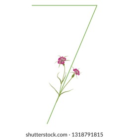 Isolated vector illustration. Floral alphabet. Numeral 7 with wild carnation or corn-cockle flowers. 