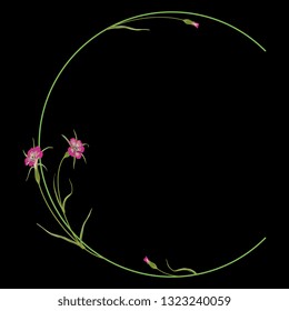 Isolated vector illustration. Floral alphabet with wild carnation or corn-cockle flowers. Capital letter C. On black background.