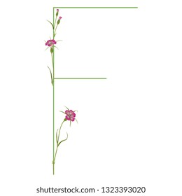 Isolated vector illustration. Floral alphabet with wild carnation or corn-cockle flowers. Capital letter F.