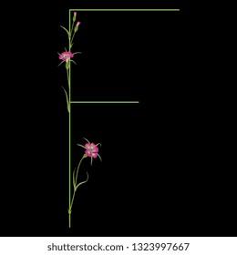 Isolated vector illustration. Floral alphabet with wild carnation or corn-cockle flowers. Capital letter F. On black background.