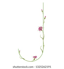 Isolated vector illustration. Floral alphabet with wild carnation or corn-cockle flowers. Capital letter J.