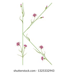 Isolated vector illustration. Floral alphabet with wild carnation or corn-cockle flowers. Capital letter K.