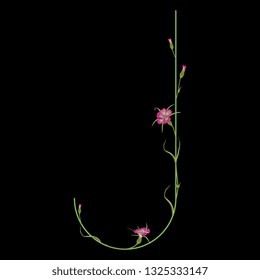 Isolated vector illustration. Floral alphabet with wild carnation or corn-cockle flowers. Capital letter J. On black background.