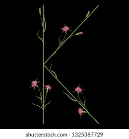 Isolated vector illustration. Floral alphabet with wild carnation or corn-cockle flowers. Capital letter K. On black background.