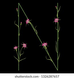 Isolated vector illustration. Floral alphabet with wild carnation or corn-cockle flowers. Capital letter N. On black background.