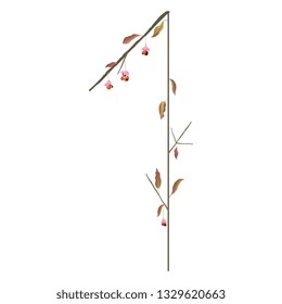 Isolated vector illustration. Floral alphabet. Numeral 1 with autumn leaves and spindle tree berries.   svg