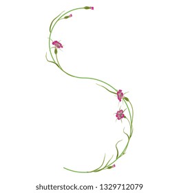 Isolated vector illustration. Floral alphabet with wild carnation or corn-cockle flowers. Capital letter S.