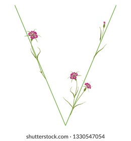 Isolated vector illustration. Floral alphabet with wild carnation or corn-cockle flowers. Capital letter V.