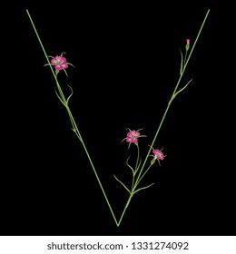 Isolated vector illustration. Floral alphabet with wild carnation or corn-cockle flowers. Capital letter V. On black background.