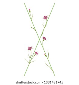 Isolated vector illustration. Floral alphabet with wild carnation or corn-cockle flowers. Capital letter X.