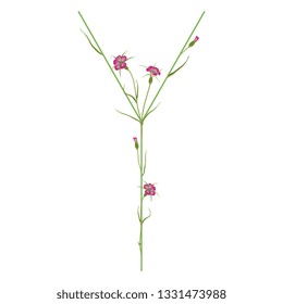 Isolated vector illustration. Floral alphabet with wild carnation or corn-cockle flowers. Capital letter Y.