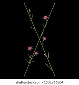 Isolated vector illustration. Floral alphabet with wild carnation or corn-cockle flowers. Capital letter X. On black background.