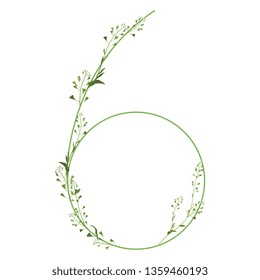 Isolated vector illustration. Floral alphabet. Numeral 6 with shepherd purse flowers.