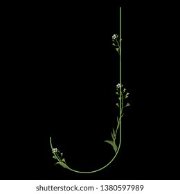 Isolated vector illustration. Floral alphabet with shepherd's purse flowers. Capital letter J. On black background.