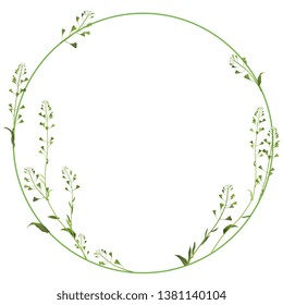 Isolated vector illustration. Floral alphabet with shepherd's purse flowers. Capital letter O or numeral 0. Round floral frame or wreath.