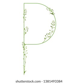 Isolated vector illustration. Floral alphabet with shepherd's purse flowers. Capital letter P.