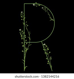 Isolated vector illustration. Floral alphabet with shepherd's purse flowers. Capital letter R. On black background.