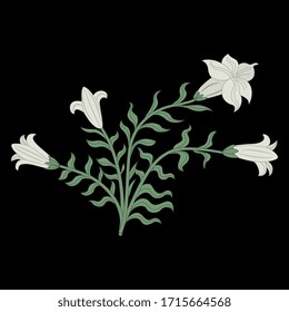 Isolated vector illustration. Floral motif. Bouquet of white lilies. Datura plant bush.