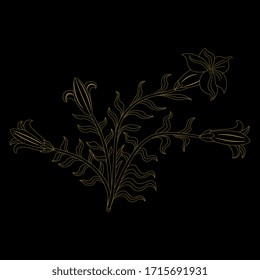 Isolated vector illustration. Floral motif. Bouquet of white lilies. Datura plant bush. Monochrome linear silhouette.