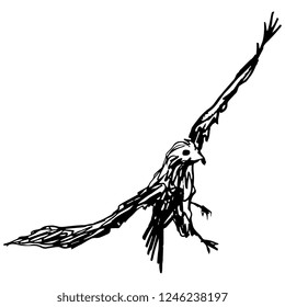 Isolated vector illustration of a flying bird of prey. Hand drawn linear sketch. Black silhouette on white background.