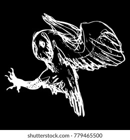 Isolated vector illustration. Flying hunting owl. Based on hand drawn sketch. White silhouette on black background.