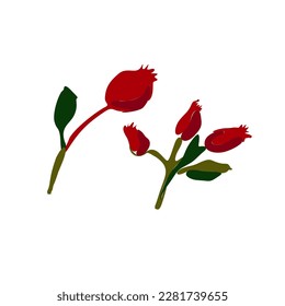 isolated vector illustration. Forest wild plant branches types. 