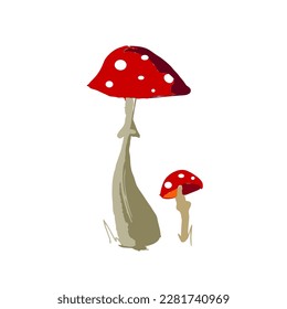 isolated vector illustration. Forest wild mushrooms types. 