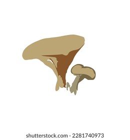 isolated vector illustration. Forest wild mushrooms types. 