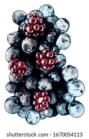 Isolated vector illustration of fresh blueberries and blackberries. A bunch of natural forest berries on a white background.  Pattern element for healthy eating theme.