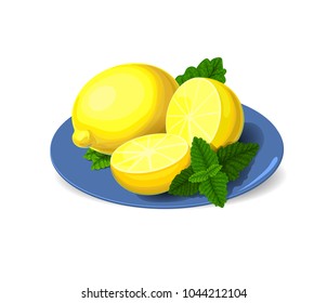 Isolated vector illustration of fresh lemon and melissa leaves.