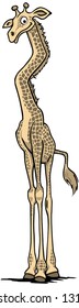 Isolated vector illustration of a giraffe