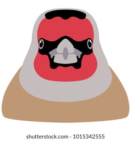 Isolated vector illustration. Goldfinch face. Simple cartoon style icon.