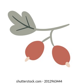 Isolated vector illustration of a gooseberry for decoration
