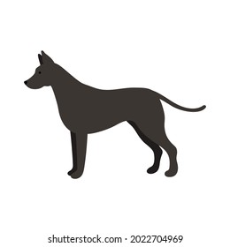 Isolated vector illustration of a Great Dane dog