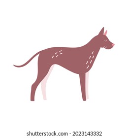 Isolated vector illustration of a Great Dane dog