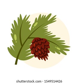 Isolated vector illustration of green pine branch with pine cone. Christmas tree branch for festive decoration