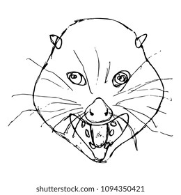 Isolated vector illustration. Hand drawn linear sketch of opossum's face. Doodle style. Black silhouette on white background.