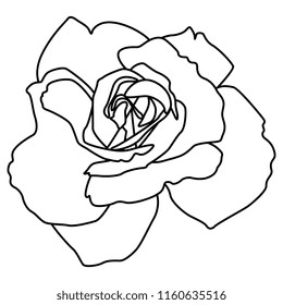 Isolated vector illustration. Hand drawn linear sketch of a rose. Black silhouette on white background.