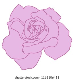 Isolated vector illustration. Hand drawn linear sketch of a rose. 