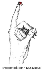 Isolated vector illustration of hand drawn female hand with ladybug. Pointing finger. Ladybird lands on a hand. Outline. Stroke.
