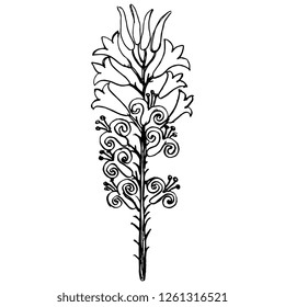 Isolated vector illustration. Hand drawn linear ink sketch of lily branch with flowers. Doodle style. Based on ancient Cretan Minoan motif.