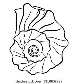 Isolated vector illustration. Hand drawn linear sketch of a spiral sea shell. Top view. Black silhouette on white background.