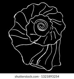 Isolated vector illustration. Hand drawn linear doodle sketch of a spiral sea shell. Top view. White silhouette on black background.